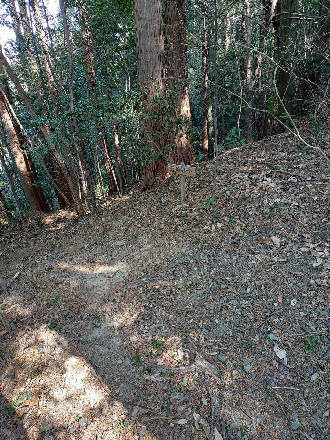 帰りは、静かで大好きな
石碑ルート
なかなかワイルドなコースです