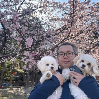 ぼたんとすずと時々パパ