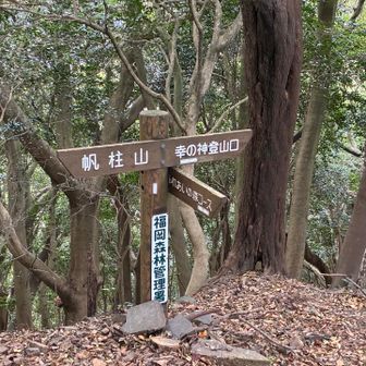 幸神の町に降りるところとの分岐