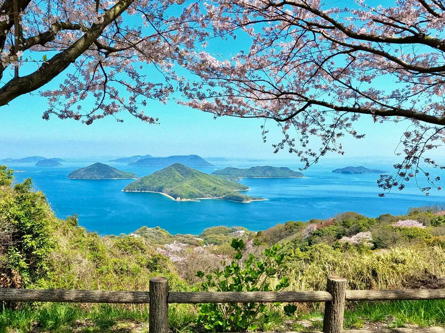 桜と瀬戸内の島々