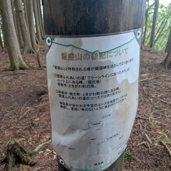 すぐ近くに飯盛山が2つあるみたい。
紛らわしいこと認めてるなら名前変えろて笑