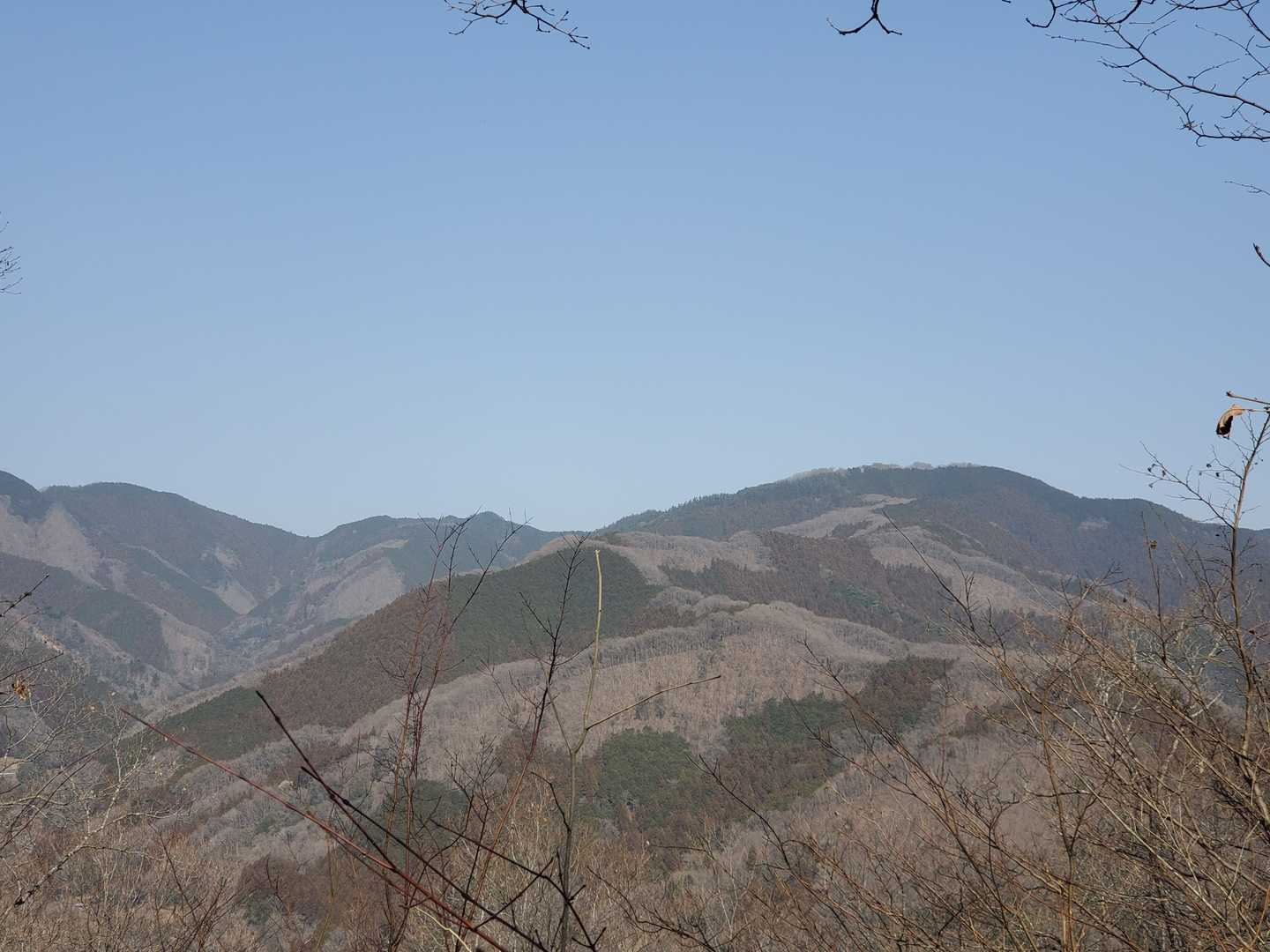 陣馬山は賑わっているかな。