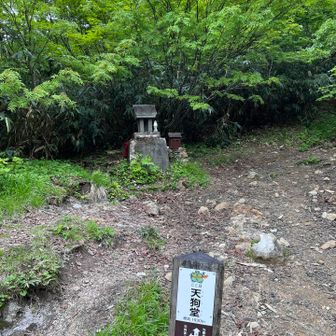 胸突き八丁を抜けて天狗堂到着。・・・・結構な急登でした(;ﾟ∀ﾟ)=3ﾊｧﾊｧ