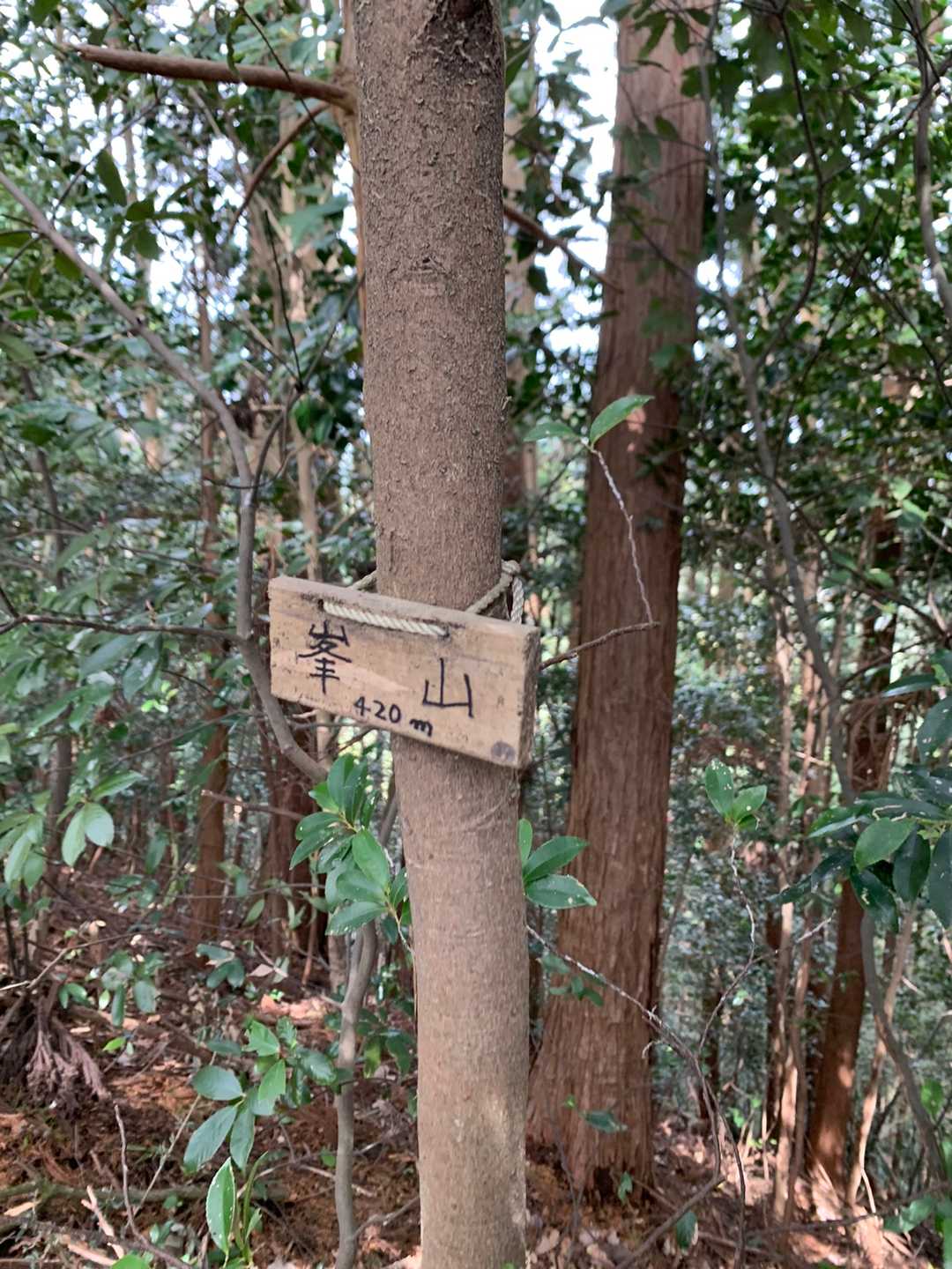 ⑭峯山
展望無し（流石にげんなりしてきます😅）