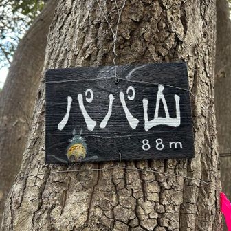 88mだからパパ？はは山と名付けても良さそう