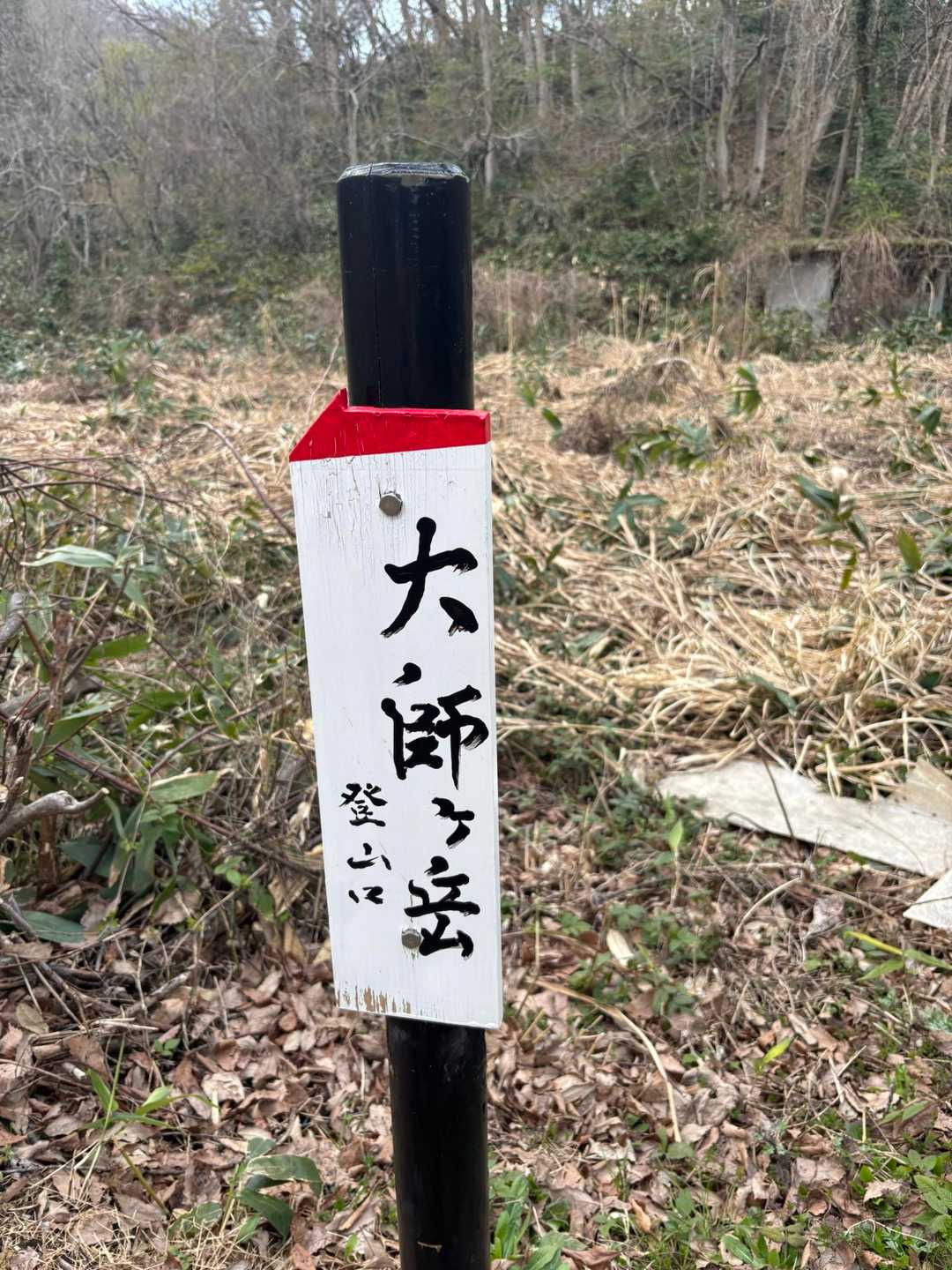 こんな看板あったかな⁉️