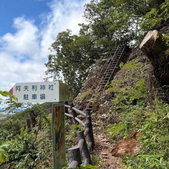 階段梯子を登ります🪜