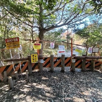 ガッチリガードされていまし。