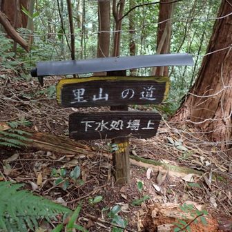 下水処場上