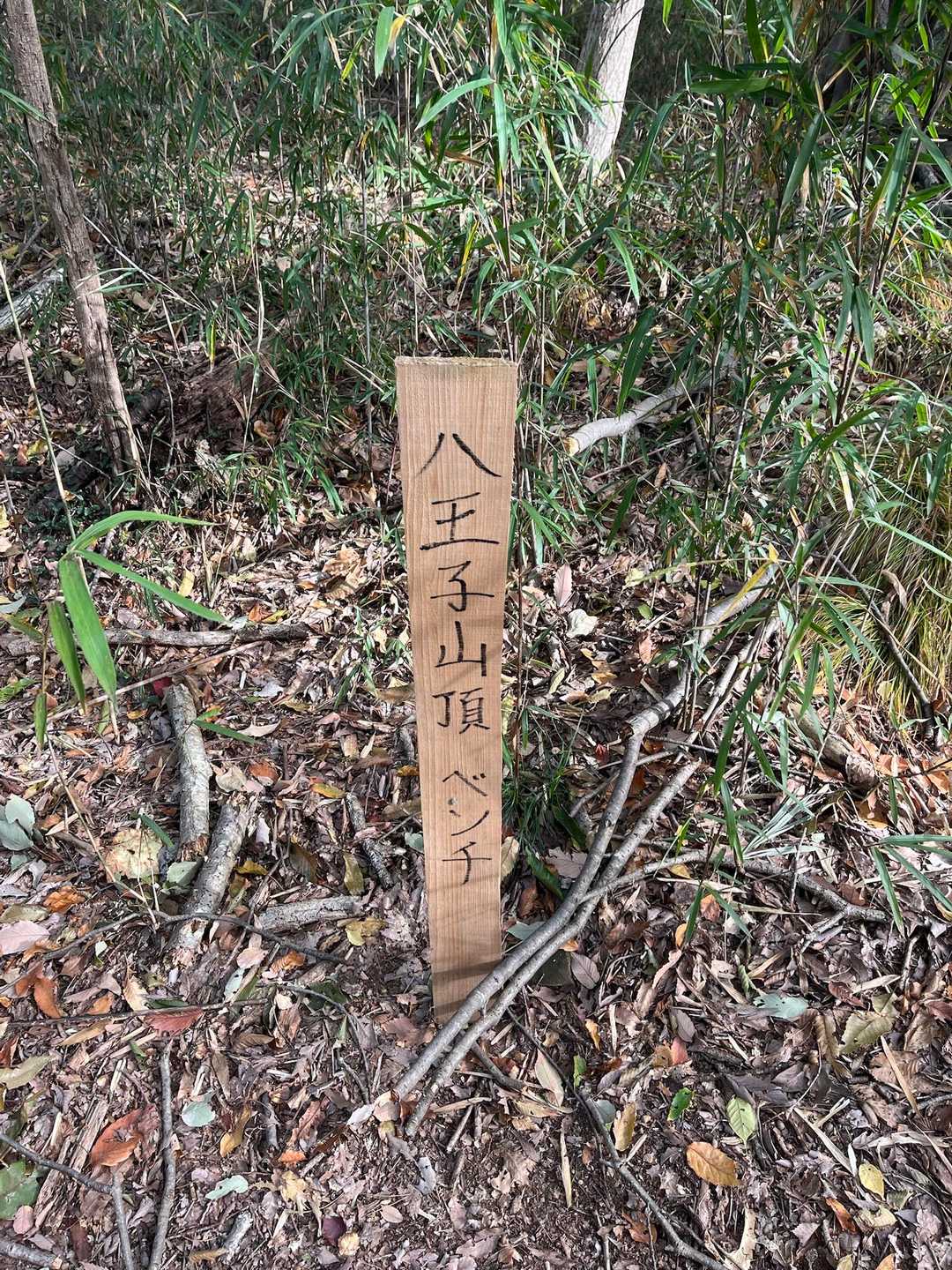 八王子丘陵 荒神山-茶臼山-唐沢山 往復コースの写真