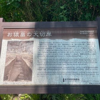 次はなんだろう〜