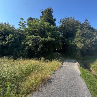 あちらから下りてきました。禾岡山は墓地だったので、写真は撮っていません。