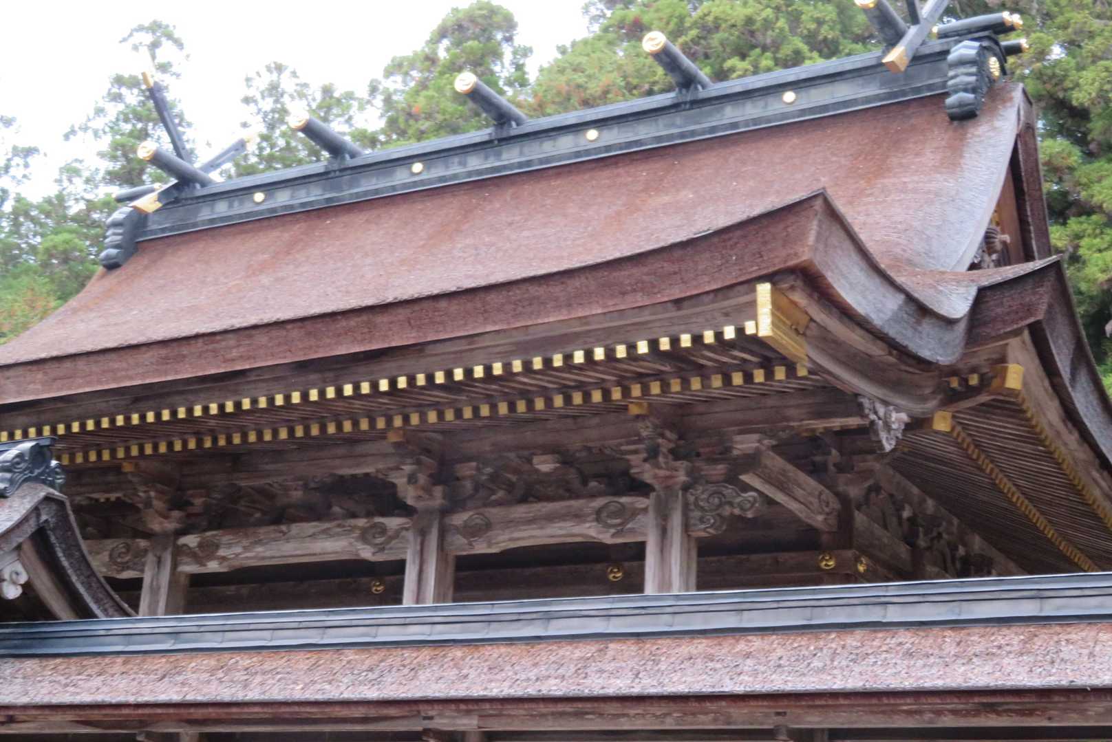 熊野本宮大社の檜皮葺はとても厚い。