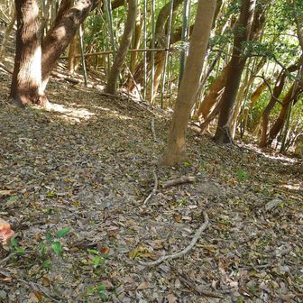 山頂を少し越えてウロウロしてると、貫方向の斜面にオレンジ色の箱を発見。