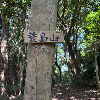 山だ！！！