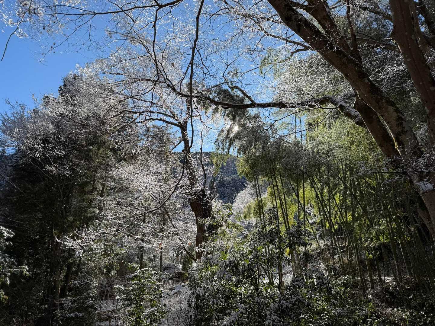 この雪はすぐ溶けると思いますが、前日の雪で良い景色が見れました