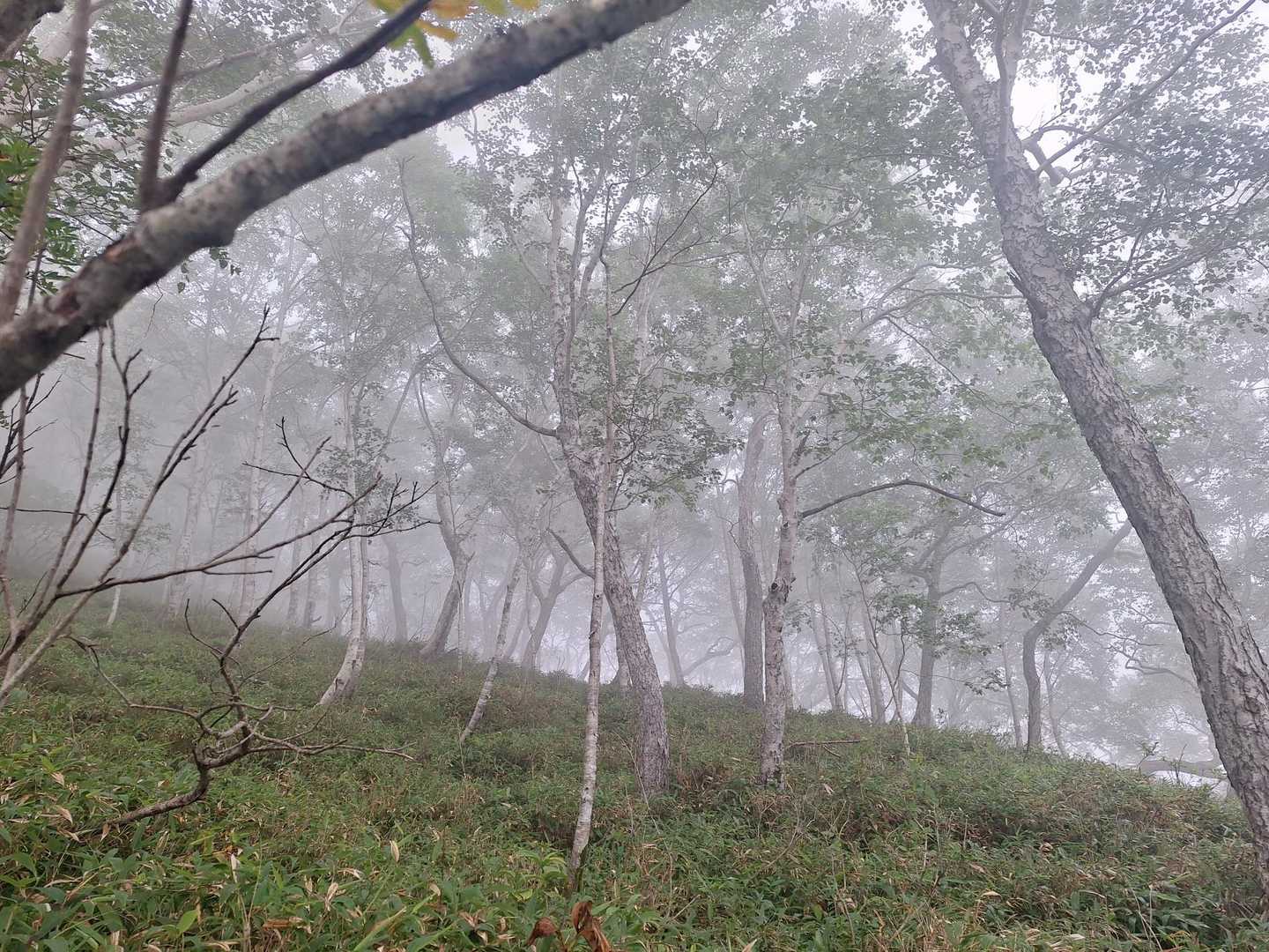 幌尻岳 往復コースの写真