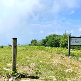 登頂！貸切の山頂