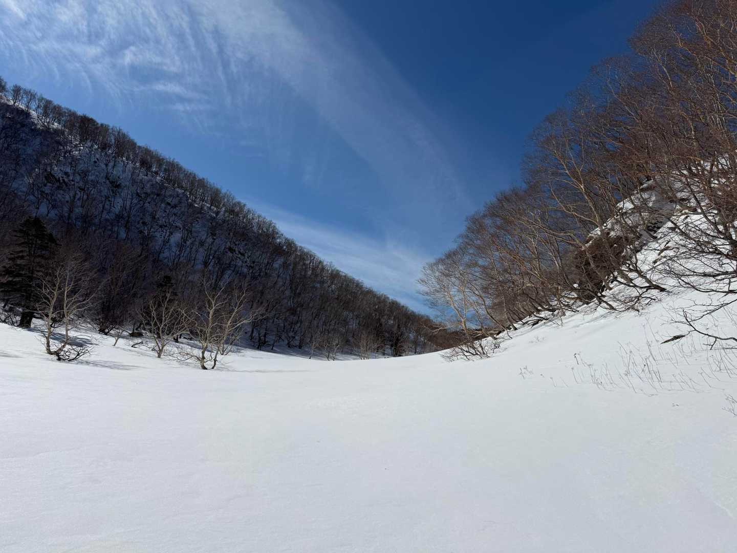 避難小屋の先も当然ノートレース。