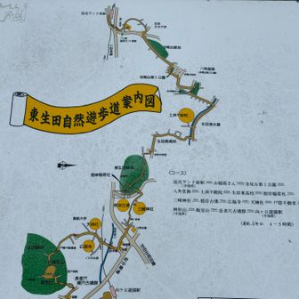 自然遊歩道を通って東生田緑地へ