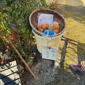 無人販売でゆずGET