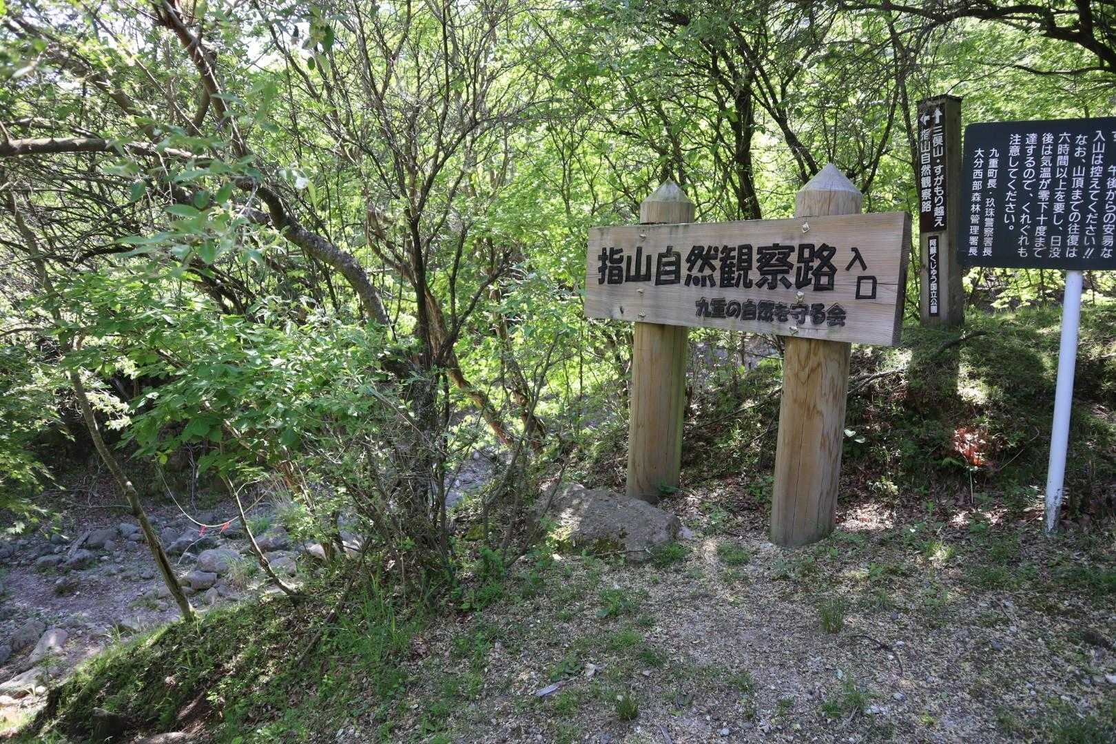 指山自然観察路から森の中に入って行きます🌿