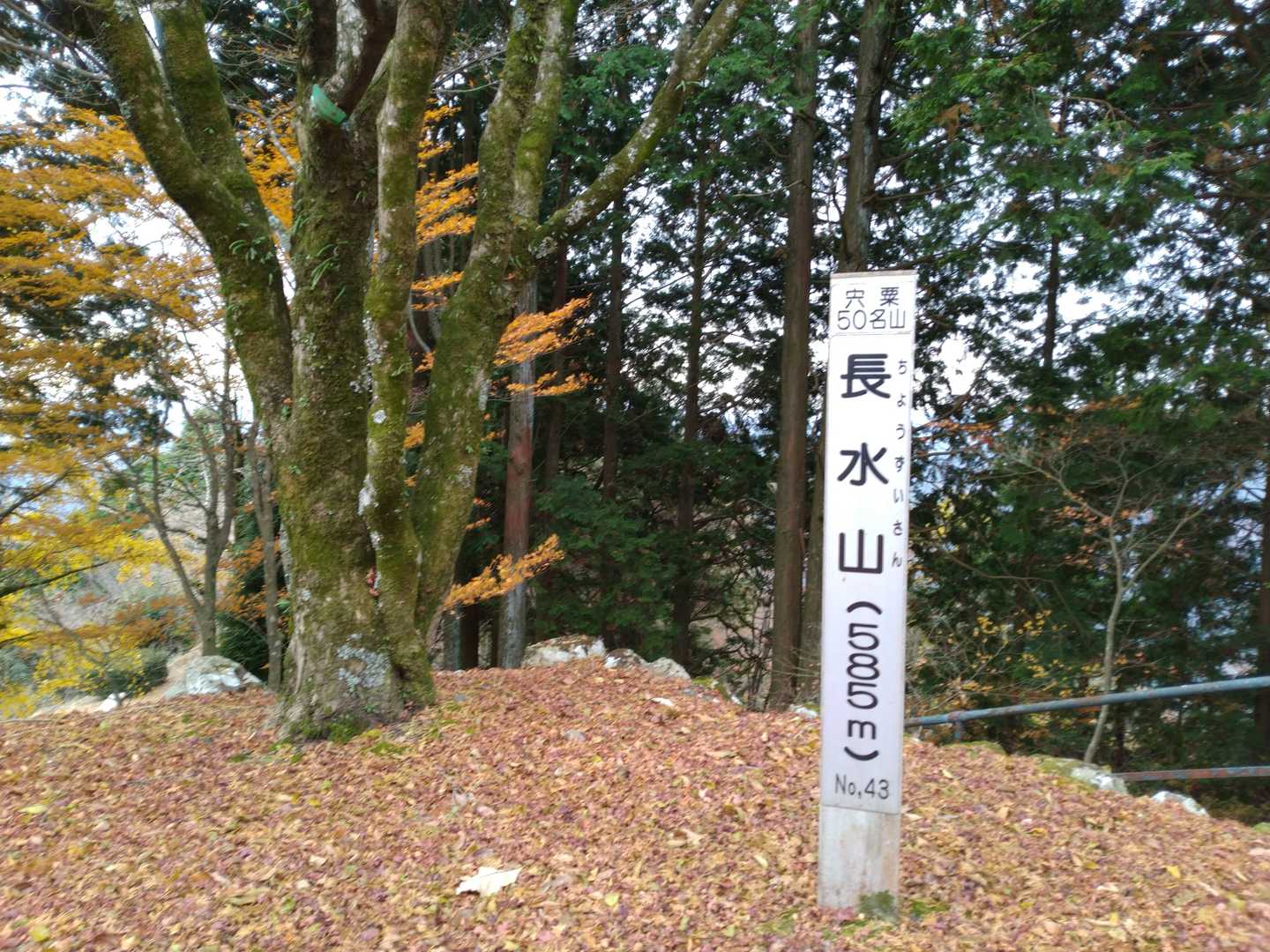 長水山　頂上
