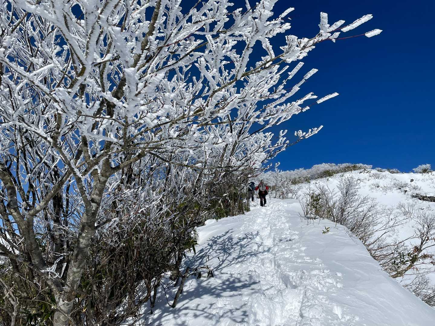 こんな場所を歩くのですよ🥾
先には前山👆