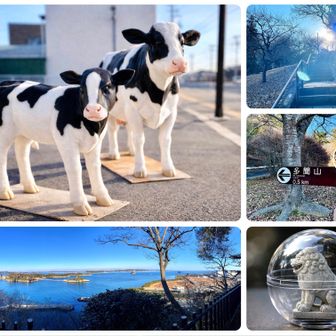 では😙帰りまーす
(帰り道で🐄発見😳)