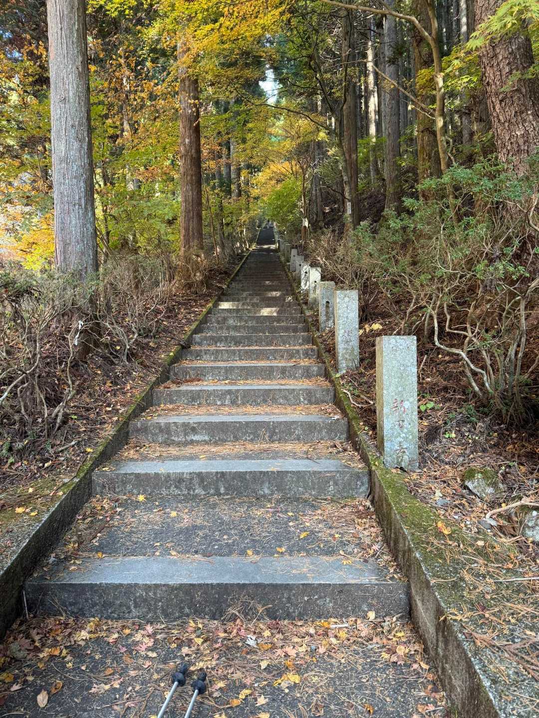 ひたすら階段を上がる
今日1番辛い所です
