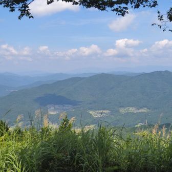 絶景です