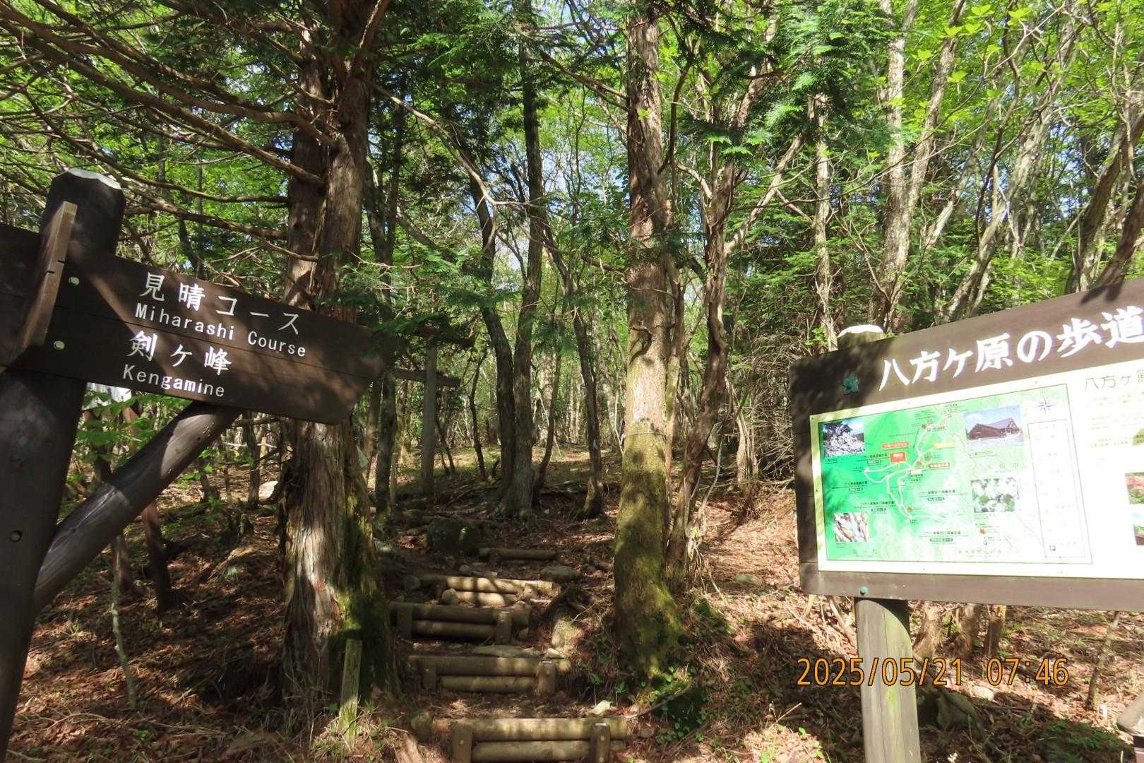 山路入口。鳥居⛩️もあります。