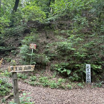 小倉山・十方山・サントリー山・天王山 / さちの登山データ | YAMAP