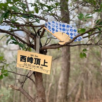 途中トレランの方がいっぱいいた🏃
 DODO NEW YEAR TRAIL だそうな