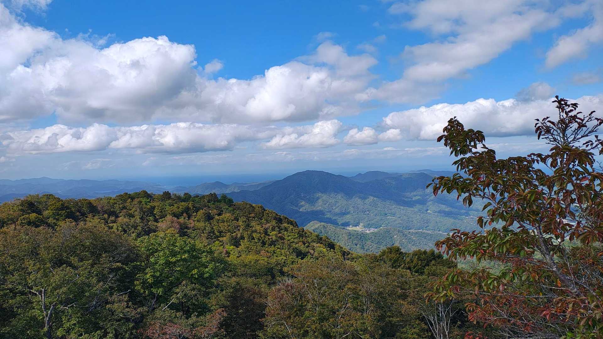 ヒャッホ〜イ(o´∀`)♪
