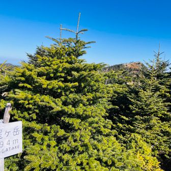 奥の明星ヶ岳より八経ヶ岳を眺める
弥山に続いて、近畿で3番目に高い山⛰️
静寂に包まれていて、いいとこでした
しばらくすると、ワンちゃん連れの方が
すごっ🐶
