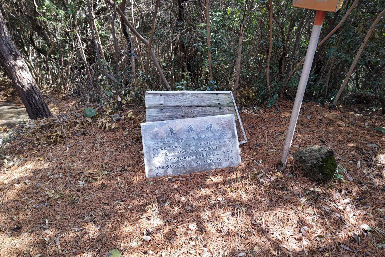 峨嵋山-象鼻ヶ岬 大師堂 往復コースの写真