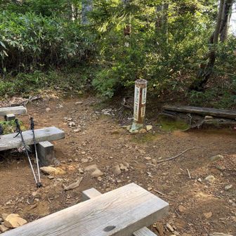 水場の休憩所
ここまで自分のペースで
休まず歩きました