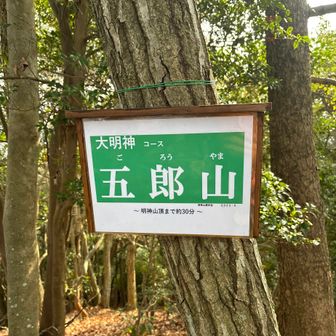 割と登ってこられます