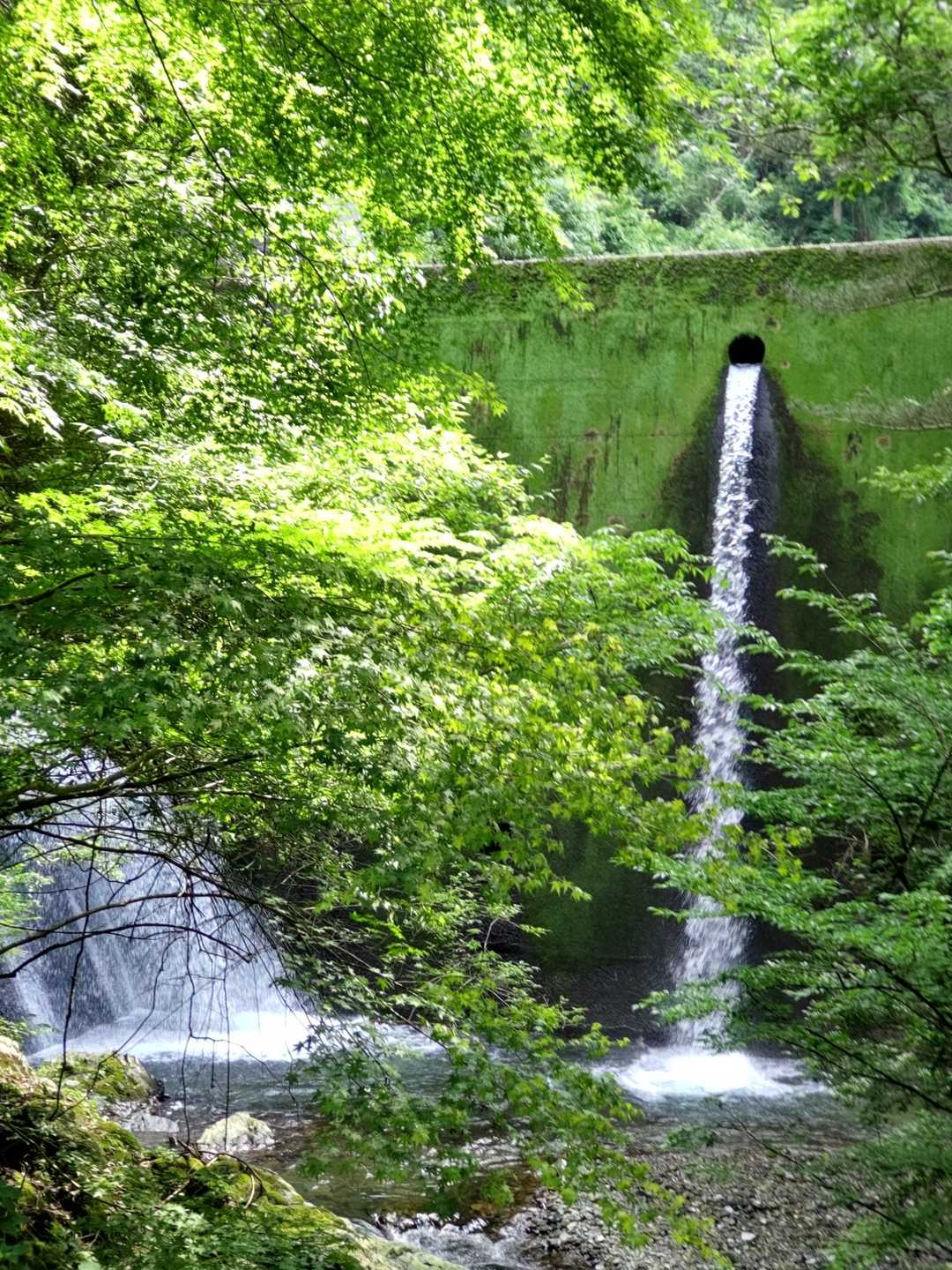 そして、多度渓谷に出ました🏞️