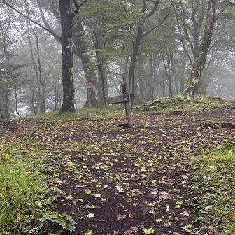 三国山まで戻ってきました。
相変わらずガスってます