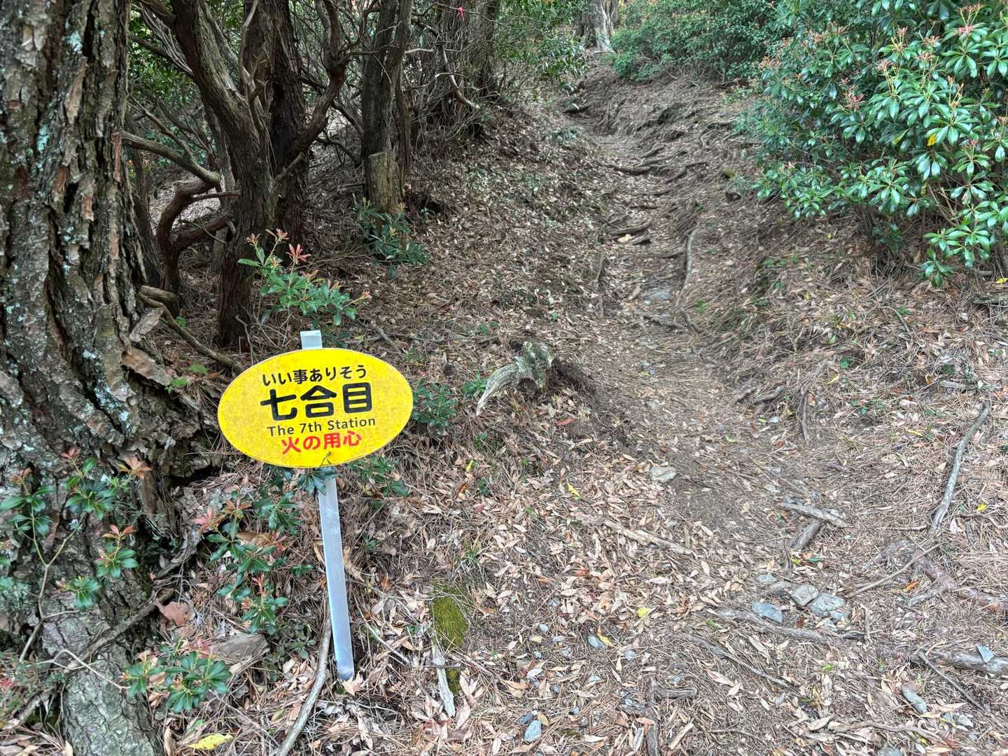 西米良登山口-市房山 往復コースの写真