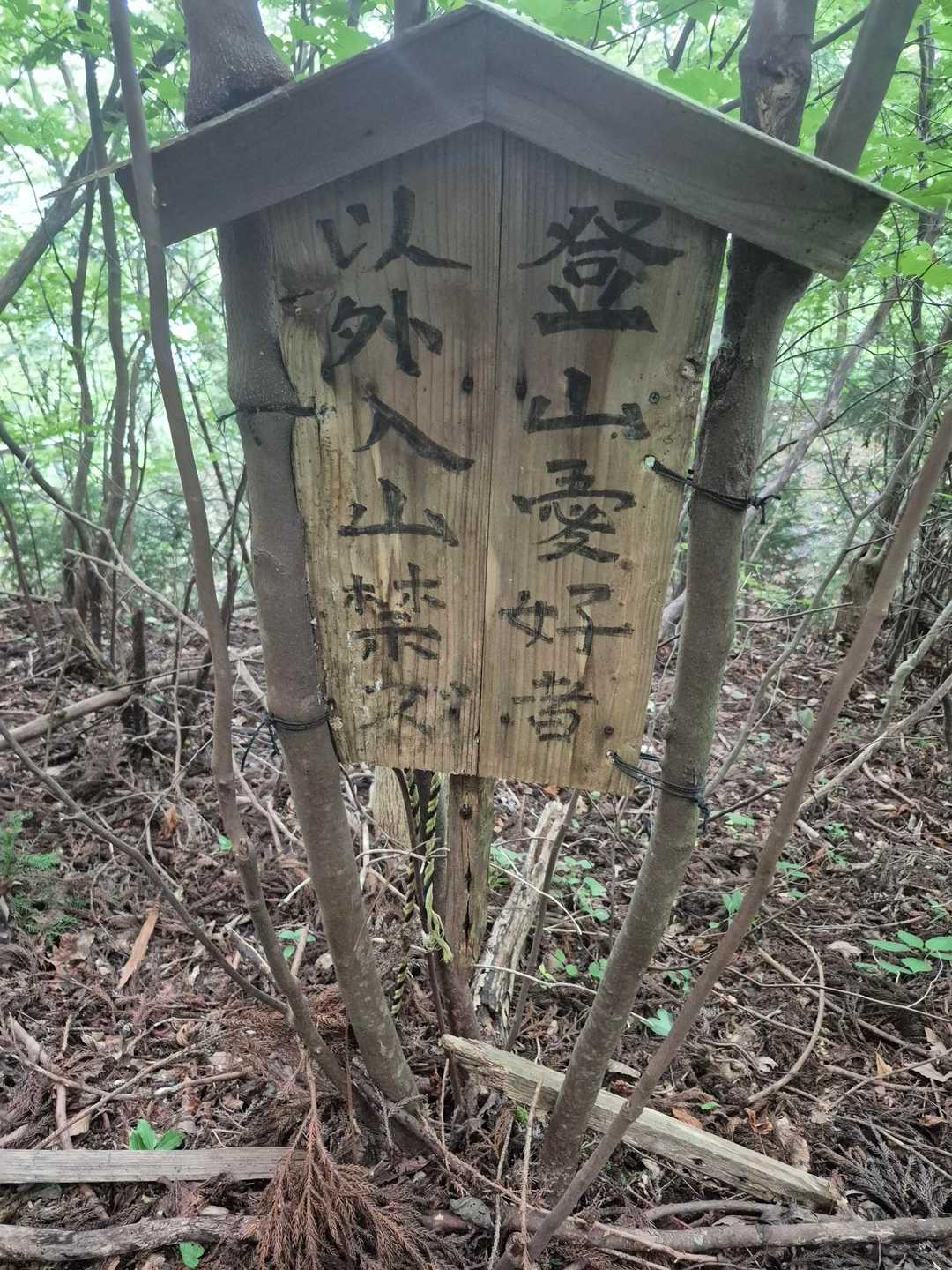 三ヶ森 往復コースの写真