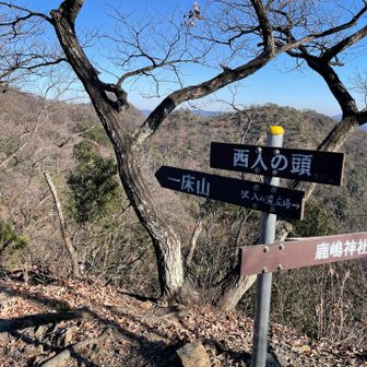 ちょっと寄り道して、西入の頭