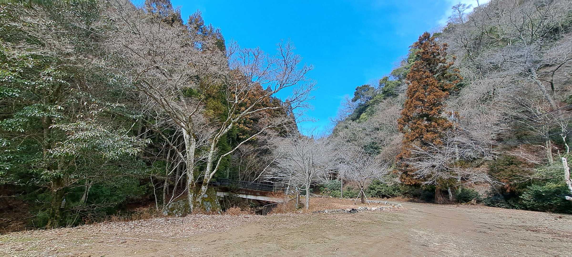 
枯れ木も山の賑わい