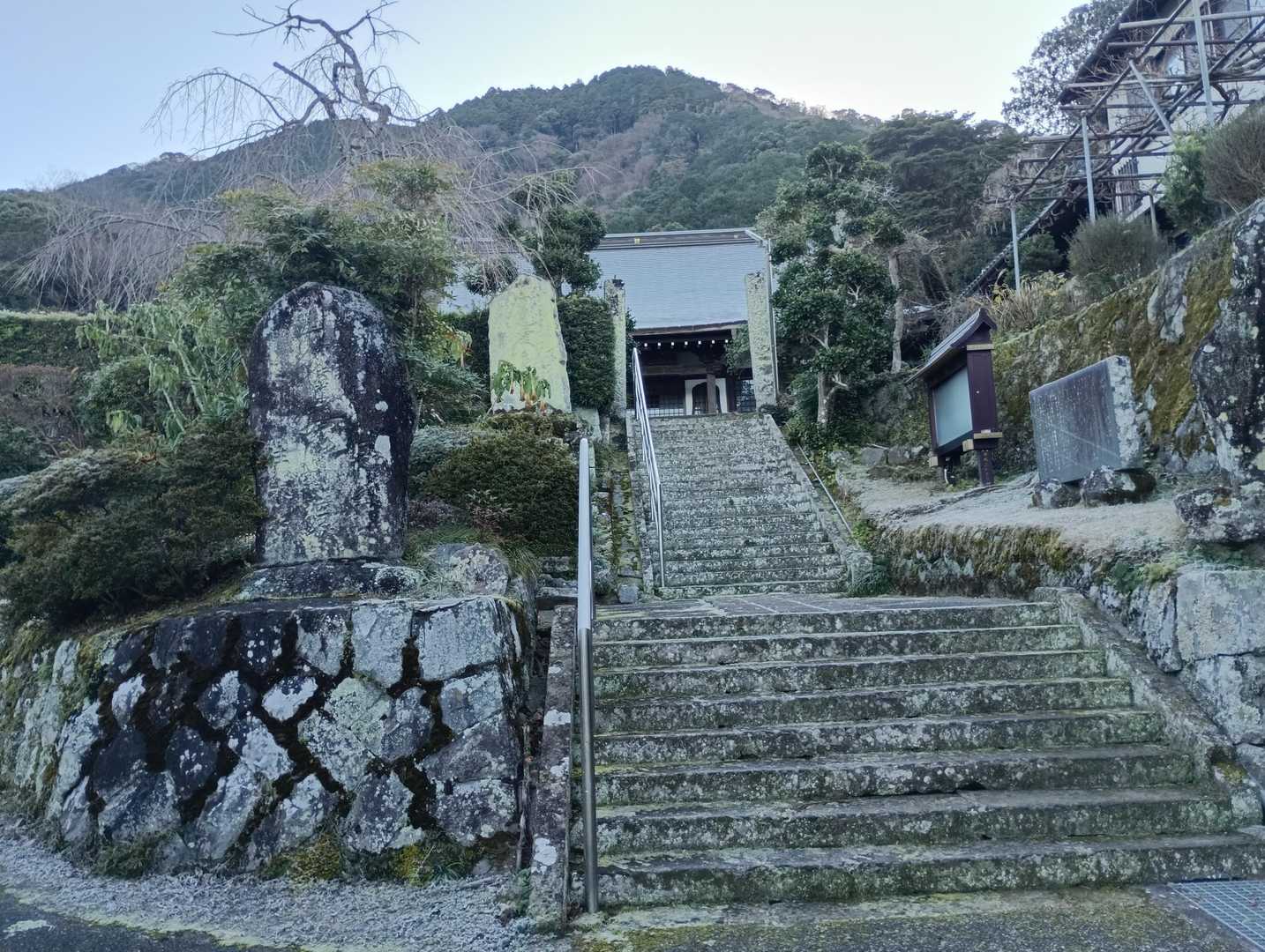 発端丈山 往復コース | 淡島越しの富士、駿河湾の青、風と伊豆の絶景の写真