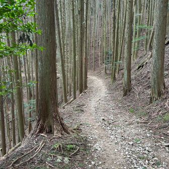 えっ🫢
🈁ダイトレやん🤣