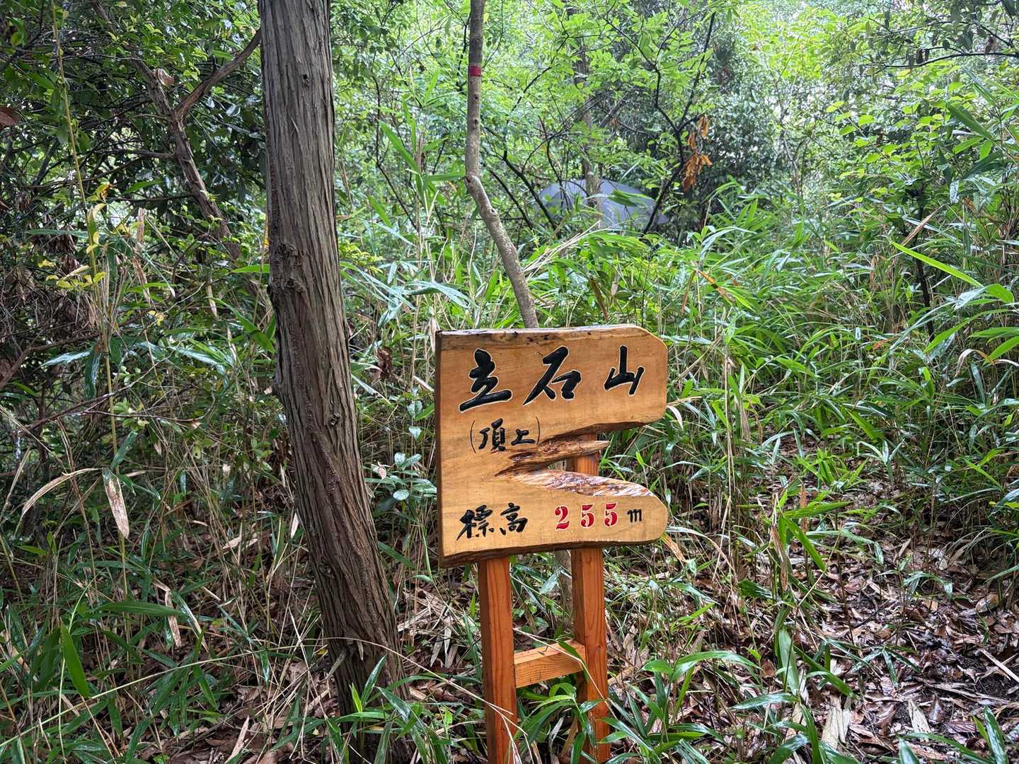 新しくピークになった立石山