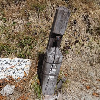 大遠見です❗
うわー、冬と全然違うし（地味）