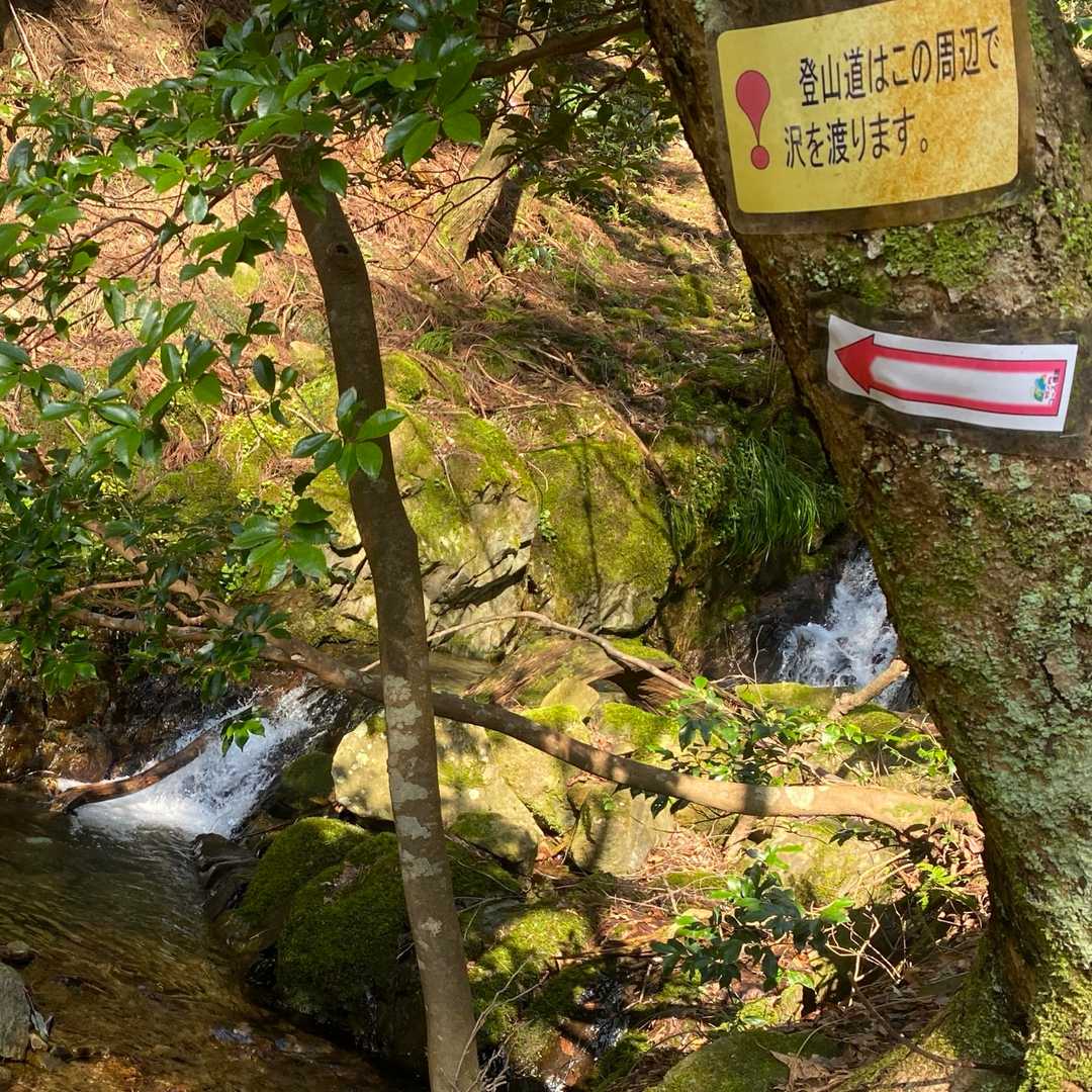 登山道はマークも多い
沢を渡る表示もありがたい
沢音がいつのまにか聞こえなくなった辺りから急坂となる